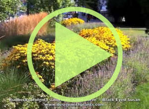 Plant videos by jeffwortham.com