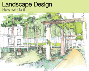 landscape design